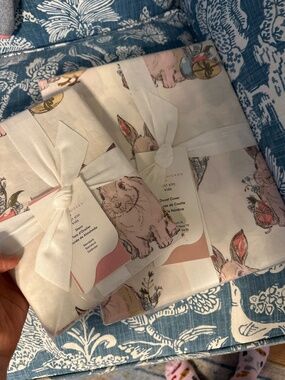 Pink chicken/West Elm twin duvet and sham